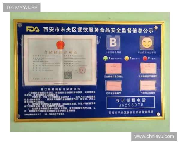 乐鱼网站app安全可靠登录教程保障用户账号信息安全与顺畅游戏体验